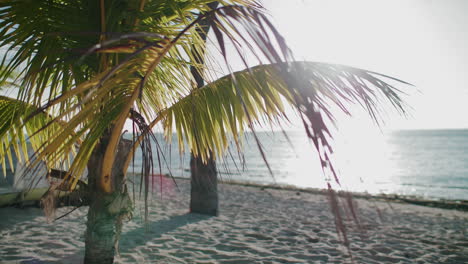 Palmen-Wiegen-Sich-Sanft-Im-Wind,-Während-Die-Sonne-Den-Ruhigen-Ozean-Im-Hintergrund-Beleuchtet