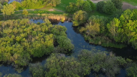 Parque-Natural-Exuberante-Y-Verde-De-Chafford-Gorges-Con-Un-Río-Sinuoso-Y-árboles-Circundantes,-Vista-Aérea