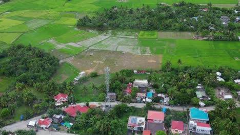 Aerial-pullback-of-telecommunications-tower-and-small-houses-in-quaint-village-with-rice-paddies-in-Virac,-Catanduanes