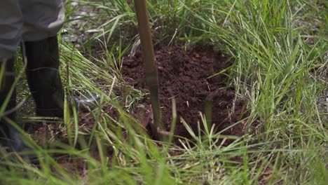 A-person-in-boots-digs-brown,-rich-soil-with-a-shovel-surrounded-by-tall,-green-grass-on-a-sunny-afternoon