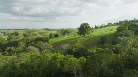 Rolling-green-hills-and-scattered-trees-under-a-cloudy-sky-in-Florencia,-Colombia