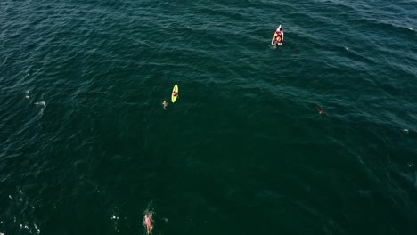 Grupo-De-Nadadores-De-Mar-Abierto-En-El-Mar-Caribe-En-Verano