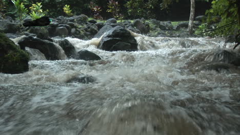 Schmetterling-An-Einem-Wasserfall