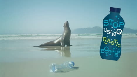 Animation-of-stop-using-plastic-bottles-text-on-bottle-over-seal-and-plastic-bottle-on-beach