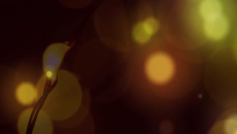 Animation-Von-Leuchtenden-Gelben-Bokeh-Lichtpunkten,-Die-über-Lichterketten-Auf-Dunklem-Hintergrund-Fallen