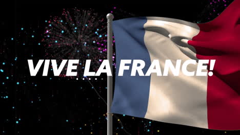 Animation-of-vive-la-france-text-and-french-flag-and-fireworks
