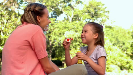 Little-girl-blowing-bubbles-at-her-happy-mother-in-the-park