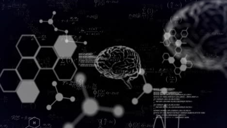 Animación-Del-Cerebro,-Moléculas-Y-Procesamiento-De-Datos-Con-Ecuaciones-Matemáticas-Sobre-Fondo-Negro