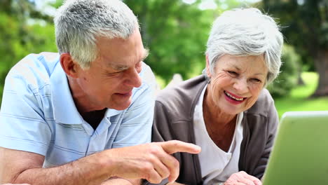 Feliz-Pareja-De-Ancianos-Relajándose-En-El-Parque-Usando-Una-Computadora-Portátil