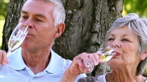 Älteres-Paar-Entspannt-Sich-Gemeinsam-Im-Park-Und-Trinkt-Champagner