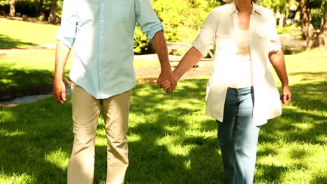 Retired-couple-walking-in-the-park