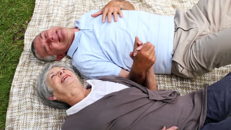Älteres-Paar-Entspannt-Im-Park-Auf-Einer-Decke-Liegend