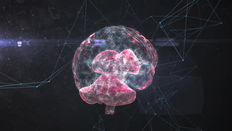 Animation-Des-Digitalen-Gehirns-über-Ein-Netzwerk-Von-Verbindungen