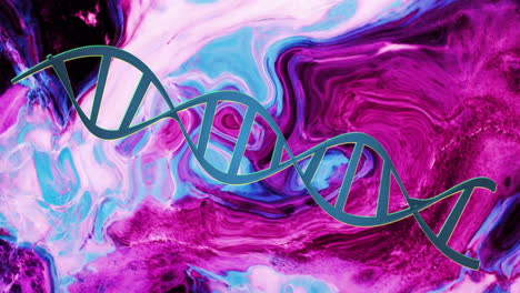 Animation-of-blue-dna-strand-rotating-over-moving-pink-and-blue-liquid