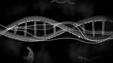 Animation-of-diagrams-over-dna-strands