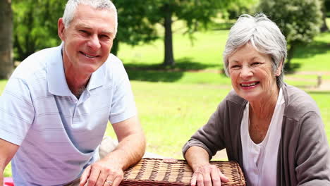 Happy-senior-couple-relaxing-in-the-park-having-a-picnic
