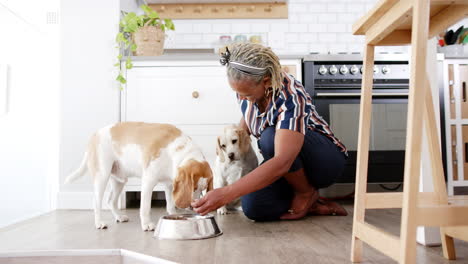 African-American-senior-woman-feeding-two-dogs-in-kitchen