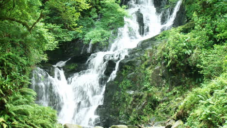 Cascade-in-the-forest-