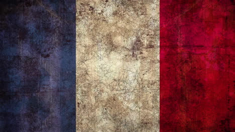 Animation-of-black-shapes-moving-over-flag-of-france