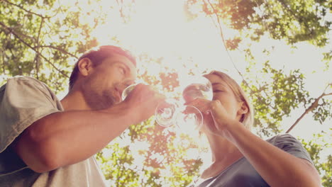 Paar-Trinkt-An-Einem-Sonnigen-Tag-Gemeinsam-Wein-Im-Park