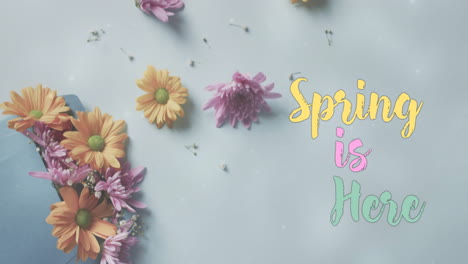 Animation-of-spring-is-here-text-and-stars-over-bunch-of-flowers