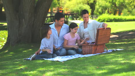 Family-opening-picnic-basket-