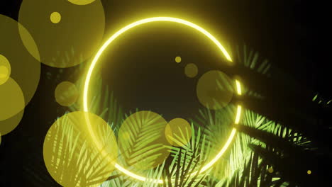 Animation-of-leaves-and-light-spots-over-neon-circle-on-black-background