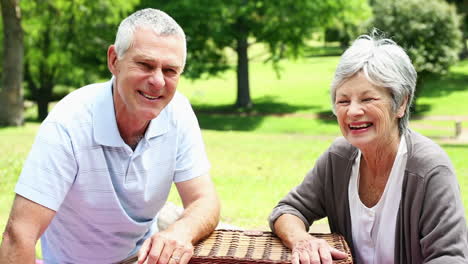 Glückliches-älteres-Paar-Entspannt-Im-Park-Mit-Einem-Picknickkorb