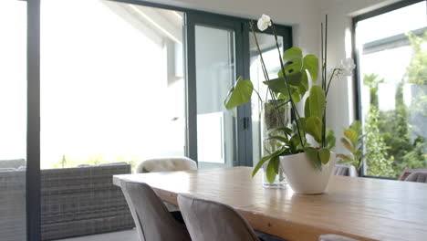 A-vase-with-white-flowers-sits-on-wooden-table,-bright-sunlight-filling-room
