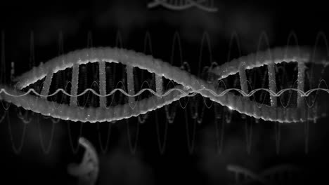 Animation-Von-Diagrammen-über-DNA-Stränge
