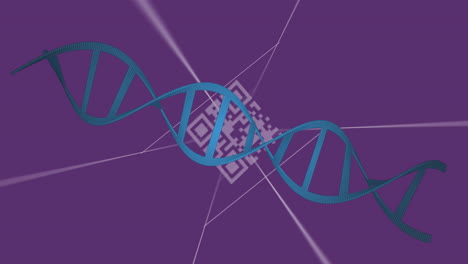 Animation-Eines-DNA-Strangs-über-Einem-QR-Code-Auf-Violettem-Hintergrund