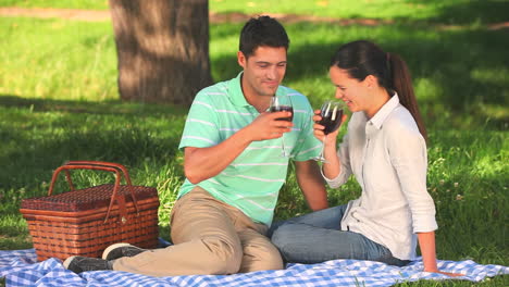 Couple-drinking-red-wine