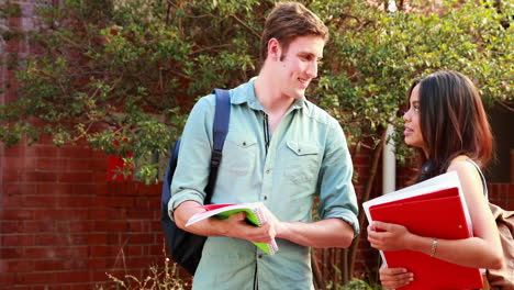 Two-students-standing-and-chatting