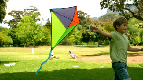 Niño-Jugando-Con-Una-Cometa-En-El-Parque