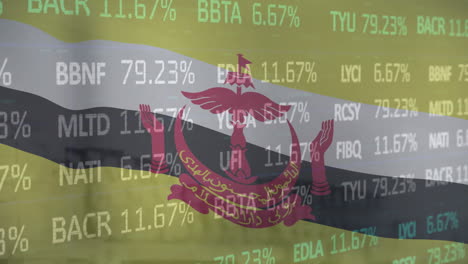 Animation-of-flag-of-brunei-over-financial-data-processing