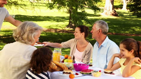 Glückliche-Familie-Beim-Gemeinsamen-Grillen-Im-Park