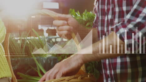 Animación-Del-Procesamiento-De-Datos-Y-Diagramas-Sobre-Un-Hombre-Caucásico-Recogiendo-Verduras-En-La-Tienda