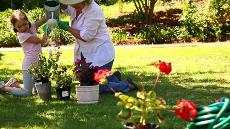 Grandmother-gardening-with-her-granddaughter