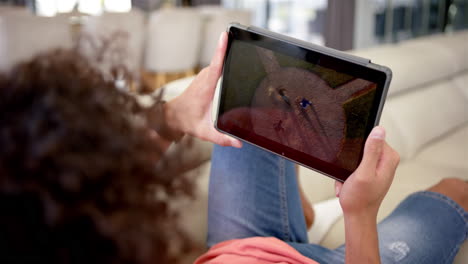 A-young-man-is-engrossed-in-baseball-playback-on-a-tablet,-on-the-couch-at-home