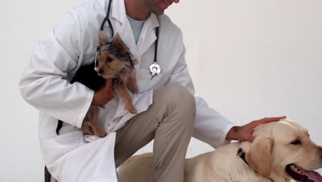 Tierarzt-Kniend-Mit-Zwei-Hunden