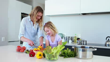Smiling-mother-and-daughter-preparing-a-healthy-dinner-together