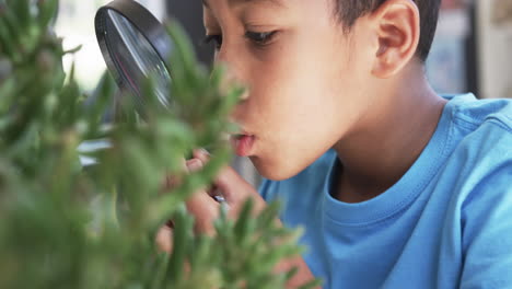 A-young-African-American-student-examines-plant-with-a-magnifying-glass