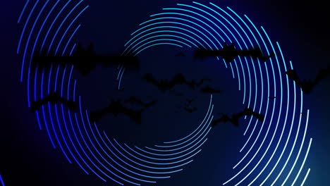 Animation-of-bats-flying-and-blue-spiral-spinning-on-black-background