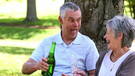 Senior-couple-relaxing-in-the-park-together-having-champagne