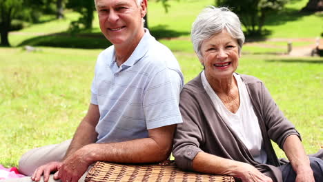 Happy-senior-couple-relaxing-in-the-park-having-a-picnic