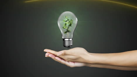 Animation-of-hands-with-lightbulb-with-plant-on-green-background