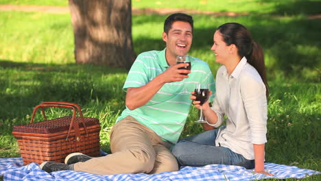 Couple-drinking-red-wine-on-a-picnic