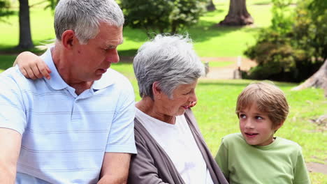 Grandparents-having-a-picnic-with-their-grandchildren