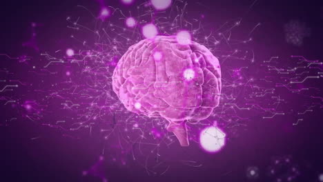Animation-of-digital-brain-with-molecules-over-computer-circuit-board-on-purple-background