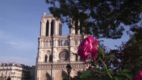 Wasserspeier-Auf-Notre-Dame